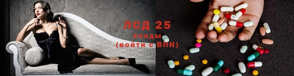 метадон Богданович