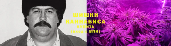 метадон Богданович