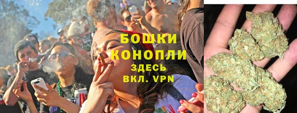 мдпв Бронницы