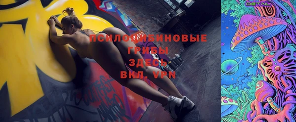 дурь Богородицк