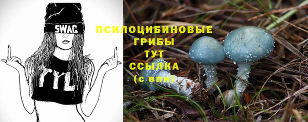 дурь Богородицк